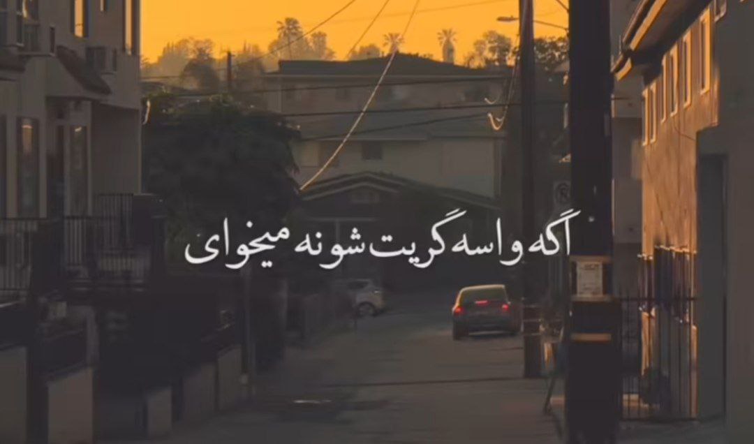  اگه واسه گریه هات شونه میخوای بیا بیا هایده هوش مصنوعی